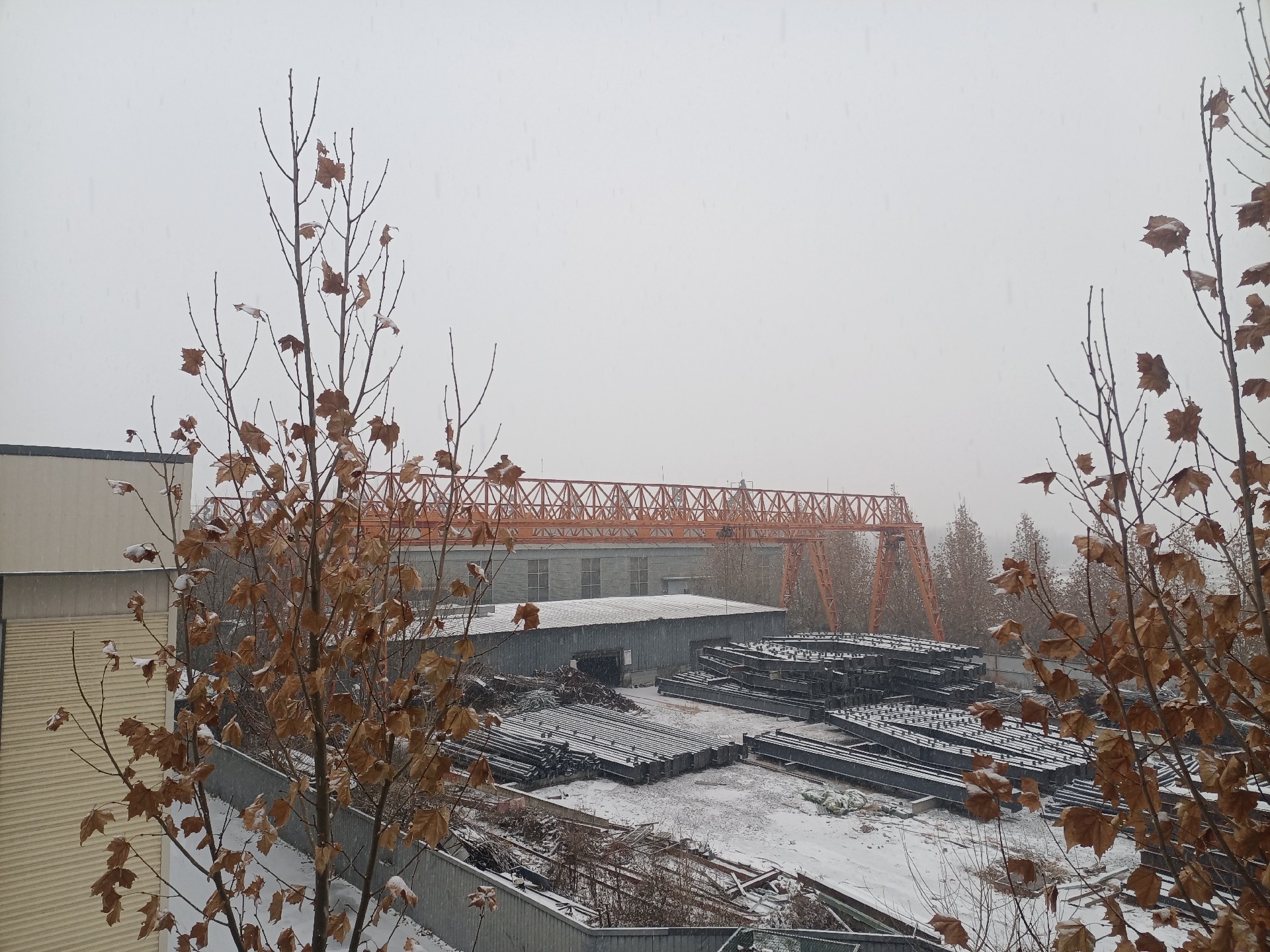 衡水鋼結(jié)構(gòu),衡水鋼結(jié)構(gòu)廠,衡水鋼結(jié)構(gòu)廠房,衡水鋼結(jié)構(gòu)廠家，衡水廠房車間加工，衡水鋼結(jié)構(gòu)--金鼎鋼構(gòu)廠雪景貨場