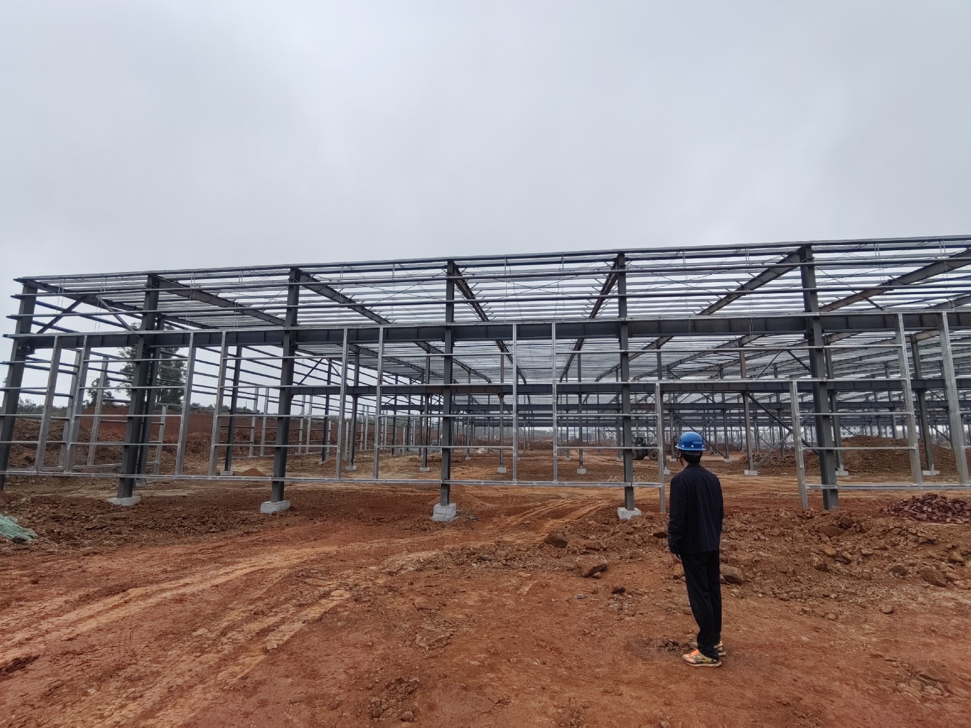 南側(cè)墻面檁條完成衡水鋼結(jié)構(gòu)廠家金鼎鋼構(gòu)